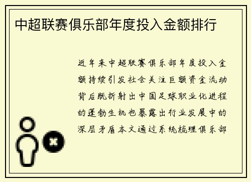 中超联赛俱乐部年度投入金额排行